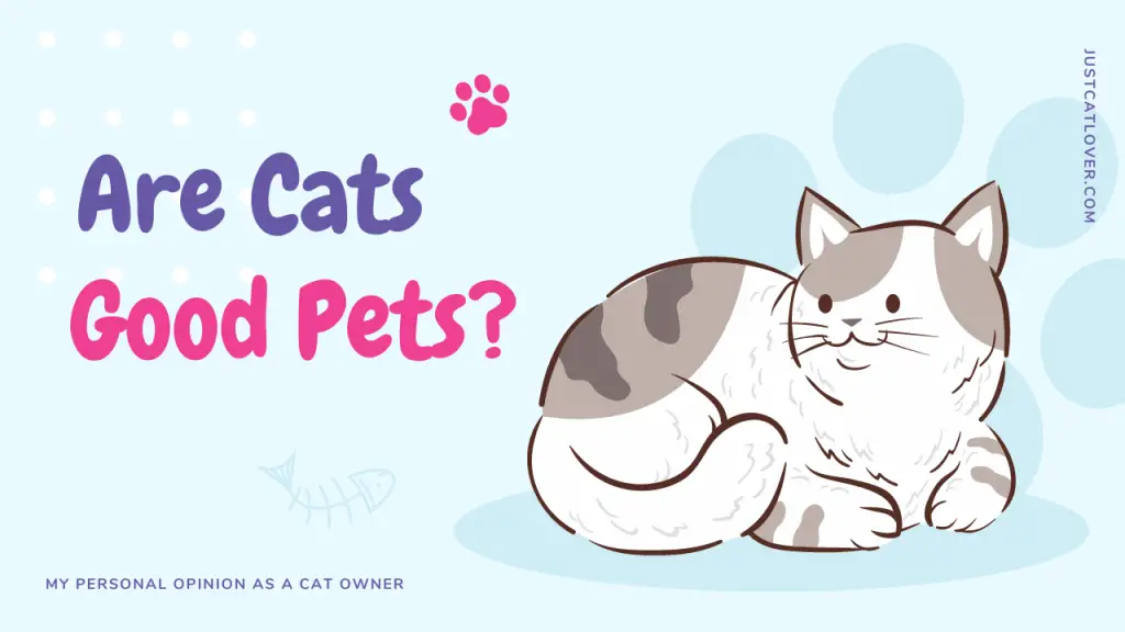 Are Cats Good Pets