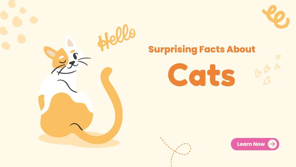 Surprising Facts About Cats