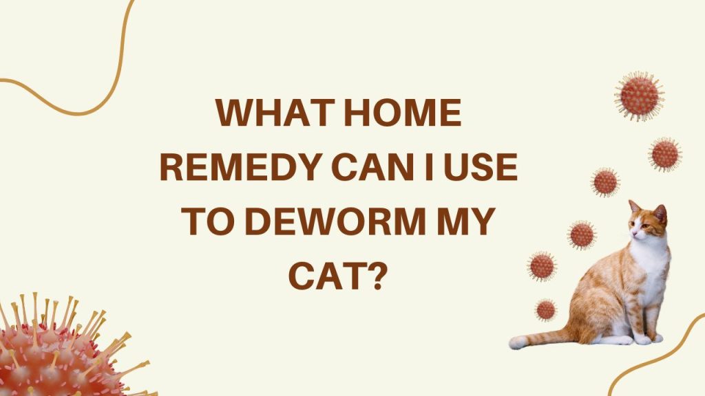 Deworm My Cat