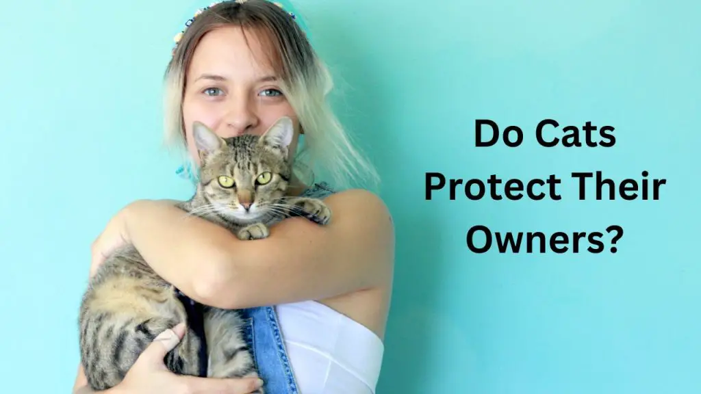 Do cats protect their owners