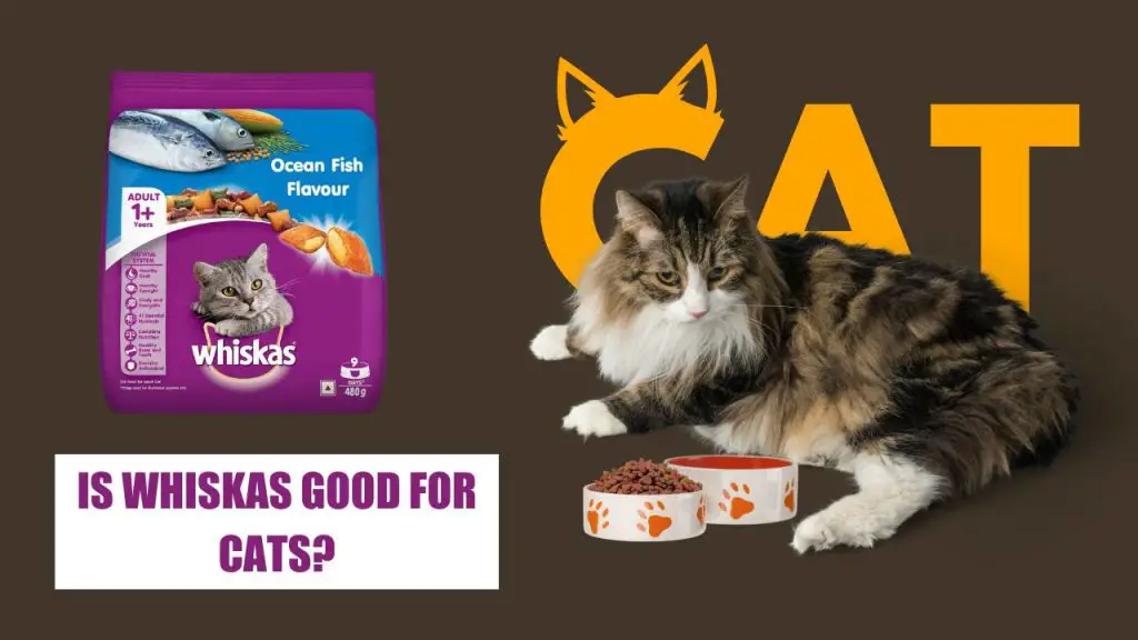 Is Whiskas good for cats