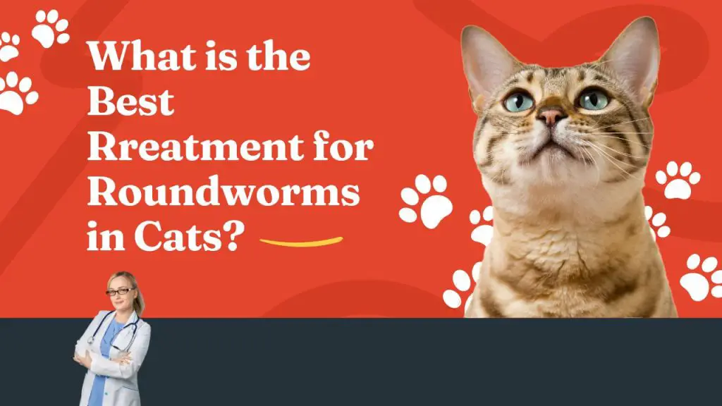best treatment for roundworms in cats