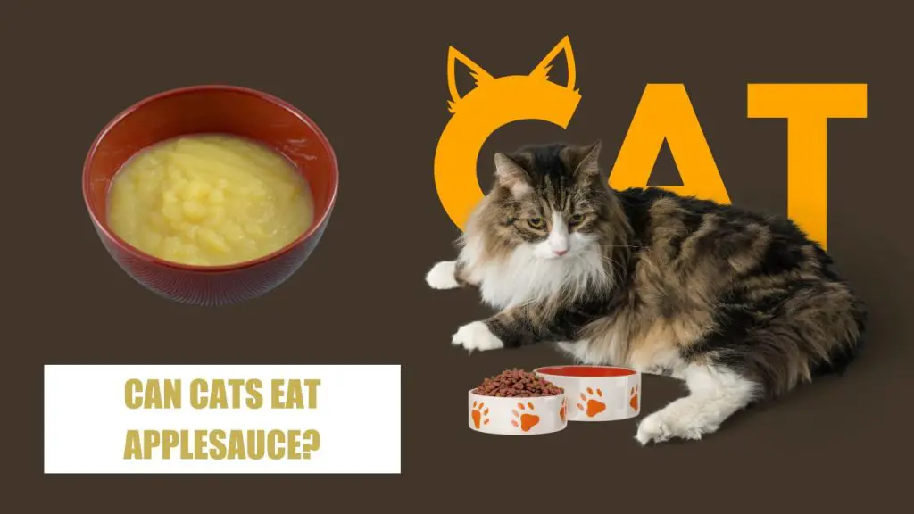 can cats eat applesauce