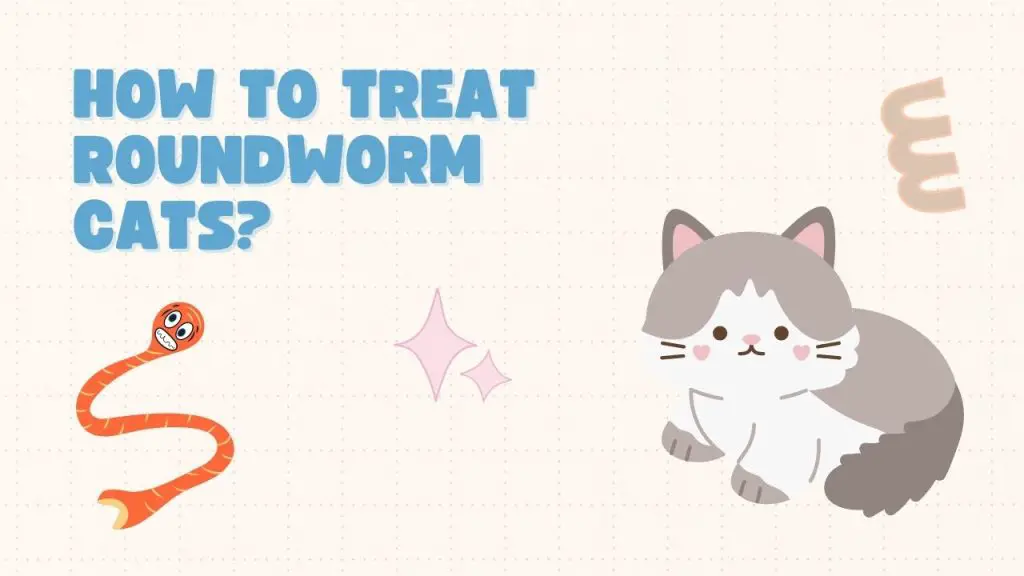 how to treat roundworm cats