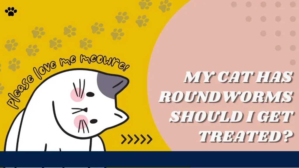 my cat has roundworms should I get treated