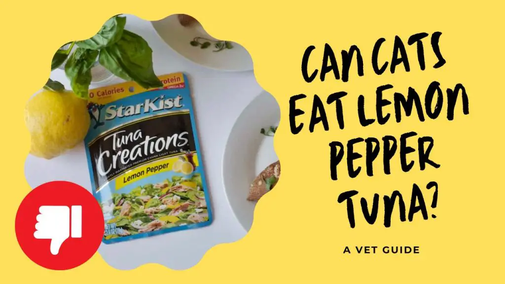 Can Cats Eat Lemon Pepper Tuna
