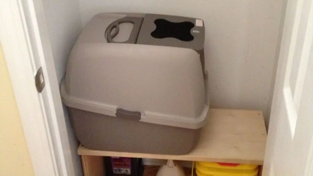 Can I Put A Litterbox In My Closet