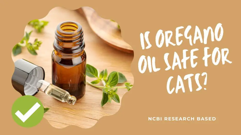 is oregano oil safe for cats