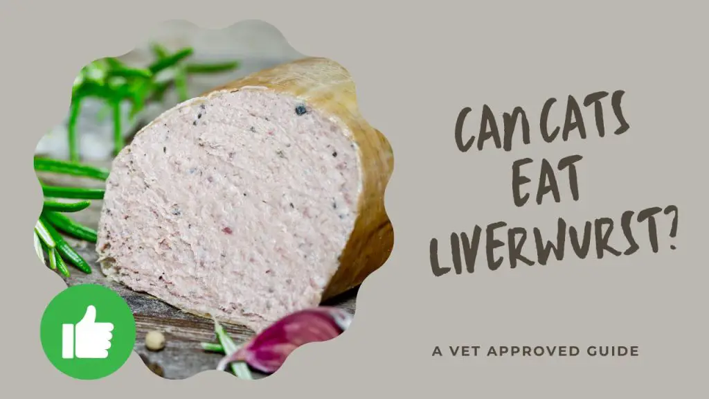 Can Cats Eat Liverwurst
