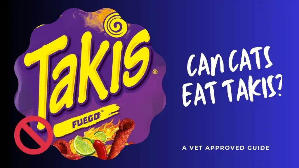 can cats eat takis