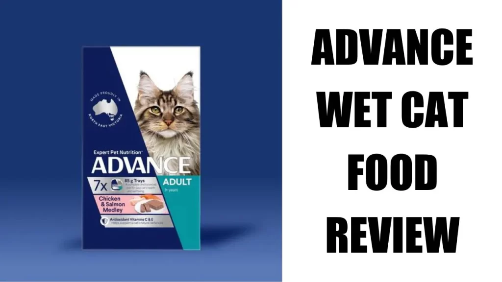 Advance Wet Cat Food Review