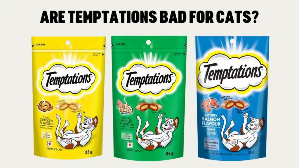 Are Temptations Bad For Cats