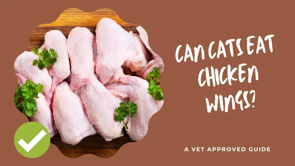 Can Cats Eat Chicken Wings