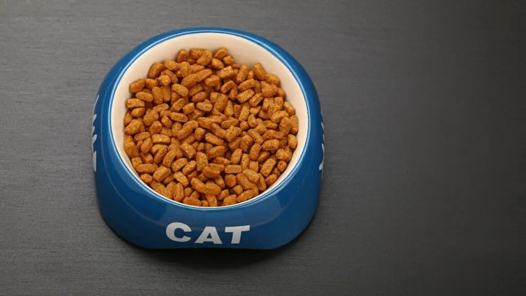 Controversy Over Grain-Free Cat Food