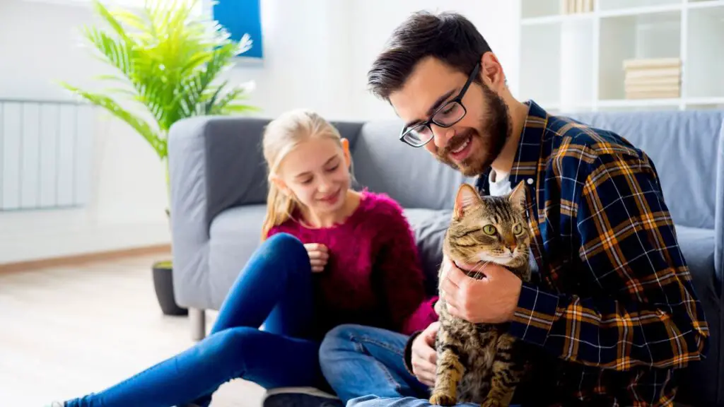 Do Female Cats Like Male Humans More