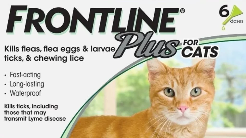 Is Frontline Plus Safe For Cats