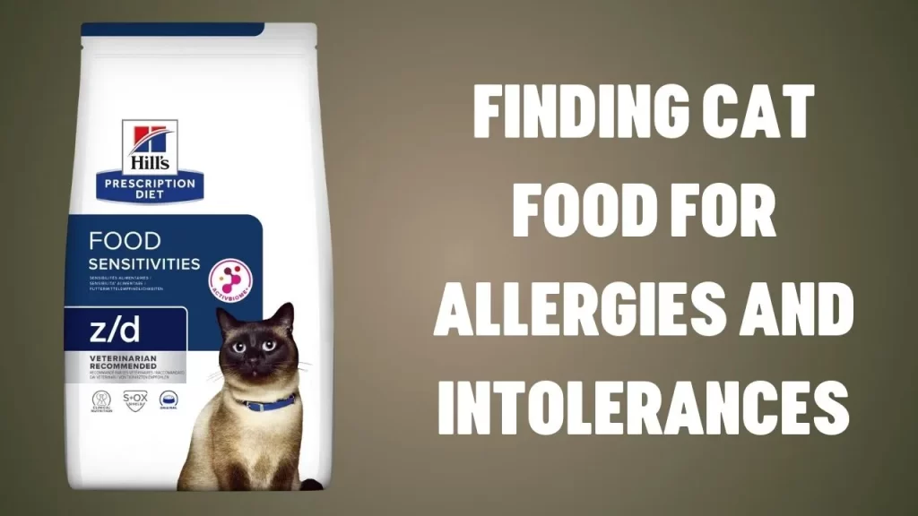 Finding Cat Food for Allergies and Intolerances