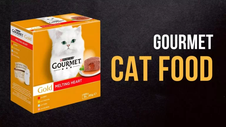 Gourmet Cat Food