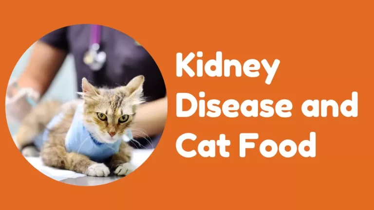 Kidney Disease and Cat Food
