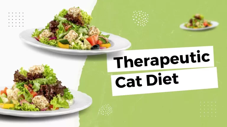 Therapeutic Cat Diet