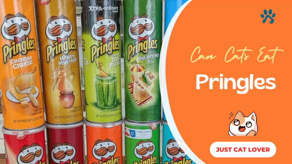 Can Cats Eat Pringles