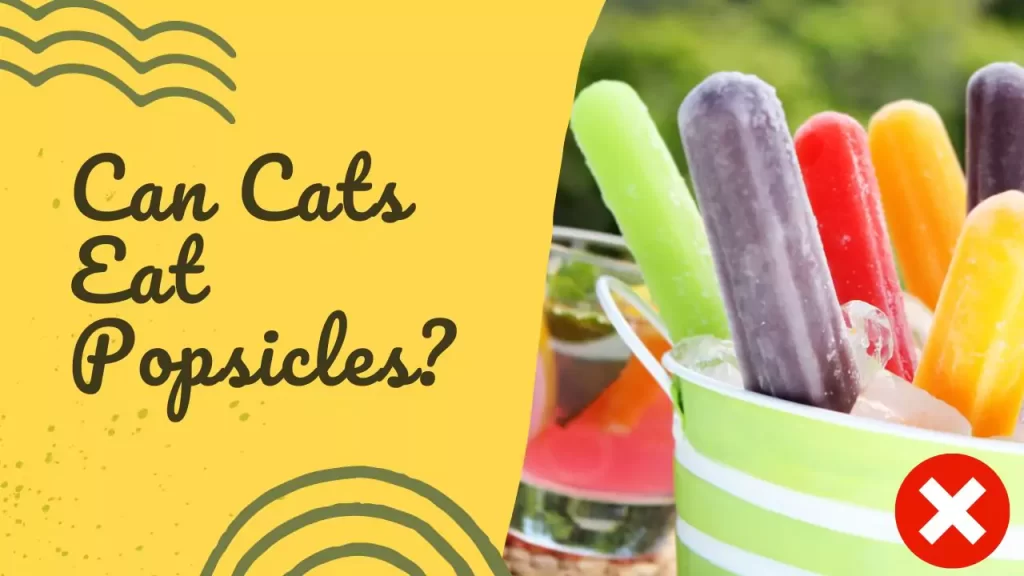 Can Cats Eat Popsicles