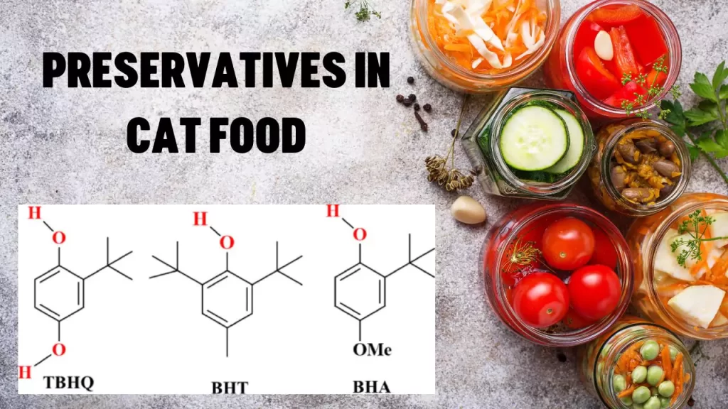 Preservatives in Cat Food