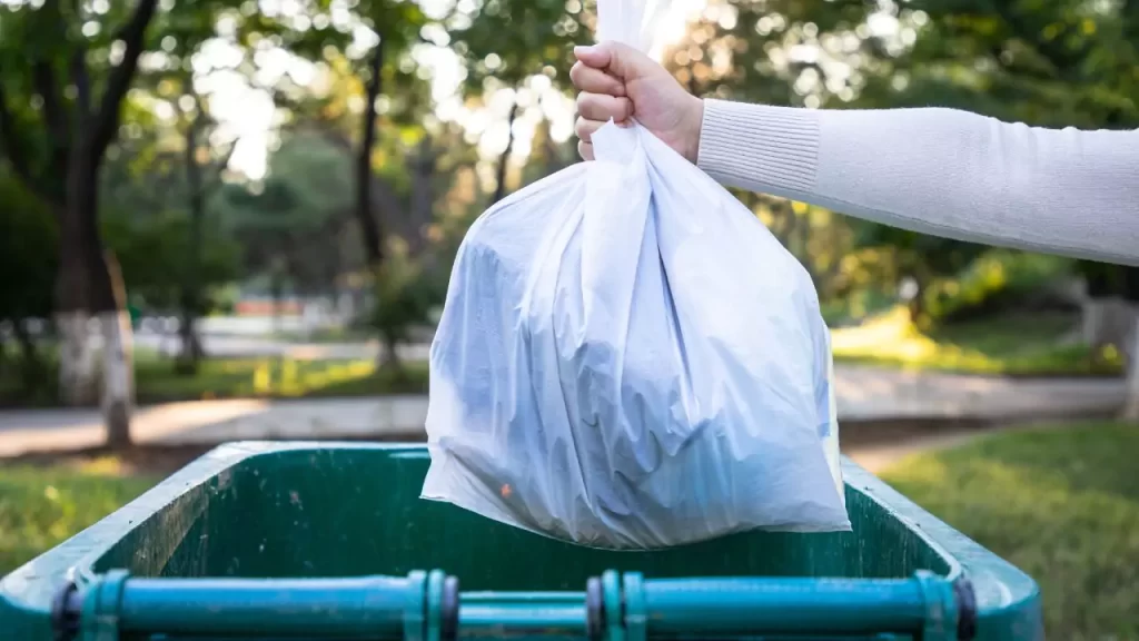 Can Cat Food Cans Be Recycled