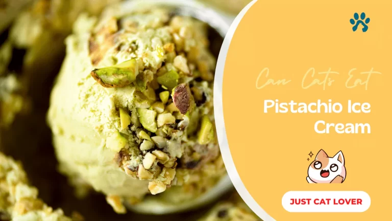 Can Cats Eat Pistachio Ice Cream