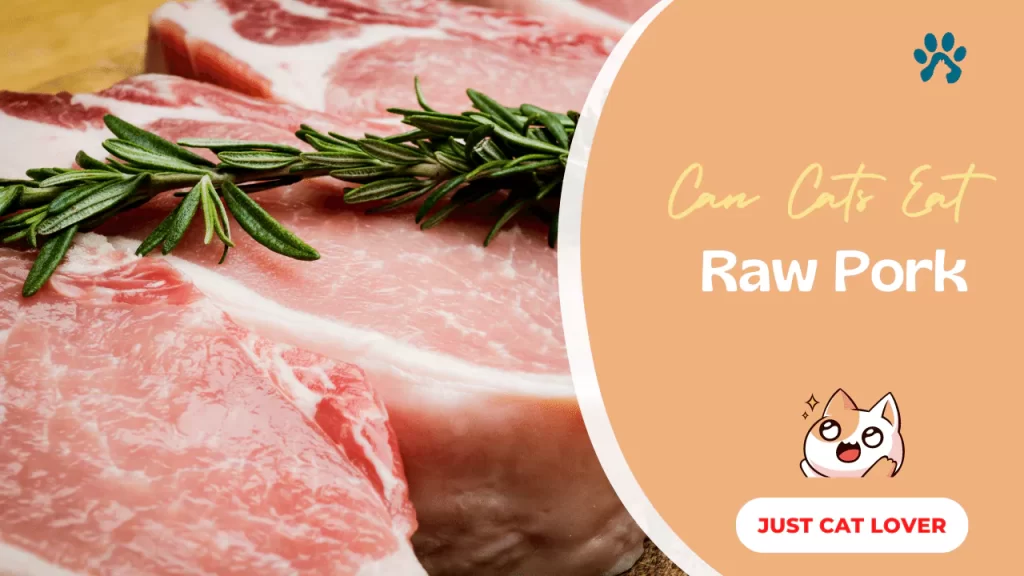 Can Cats Eat Raw Pork