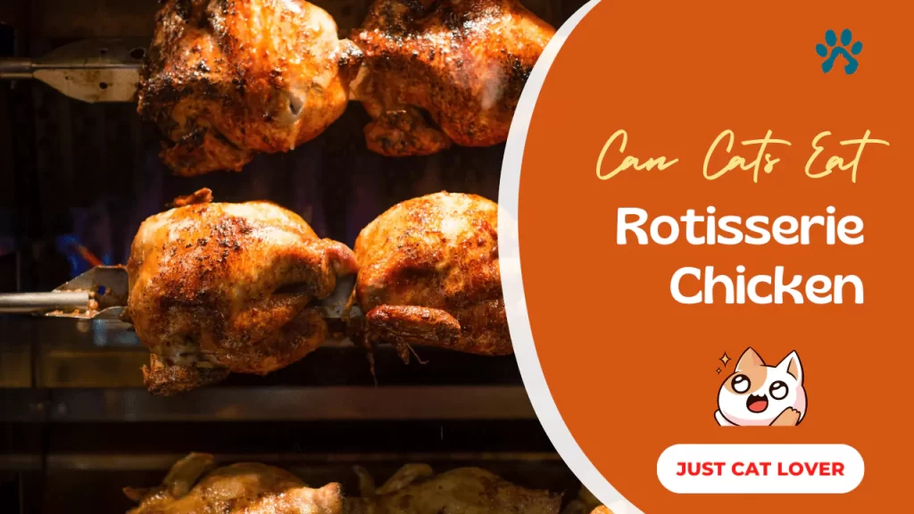 Can Cats Eat Rotisserie Chicken