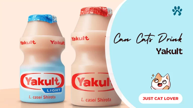 Can Cats Drink Yakult