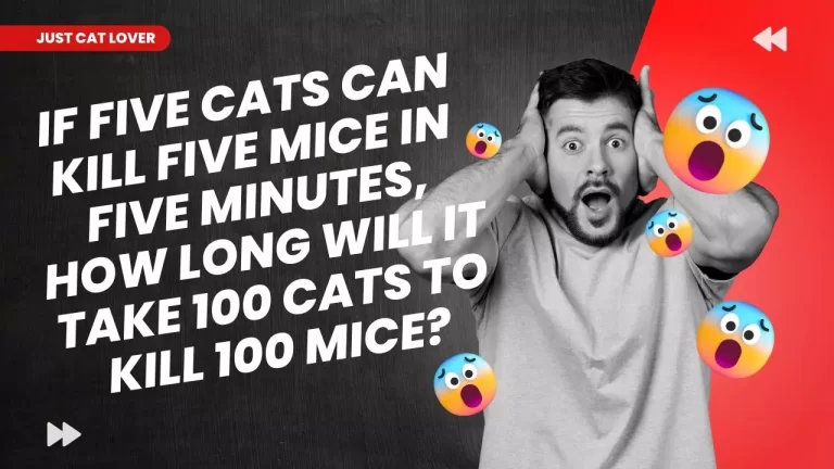 How Long Will It Take 100 Cats To Kill 100 Mice