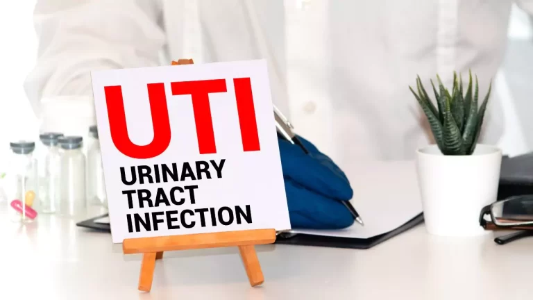 How Long Can A Cat UTI Go Untreated
