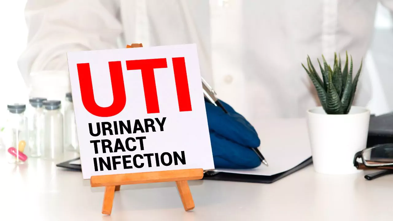 how-long-can-a-cat-uti-go-untreated-explained