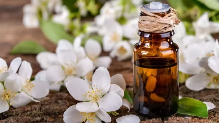 Is Jasmine Essential Oil Safe For Cats