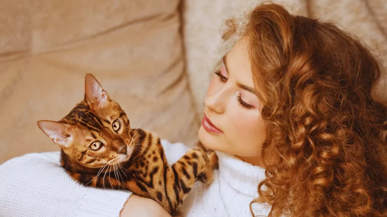 Bengal Cat Breeders In Alabama